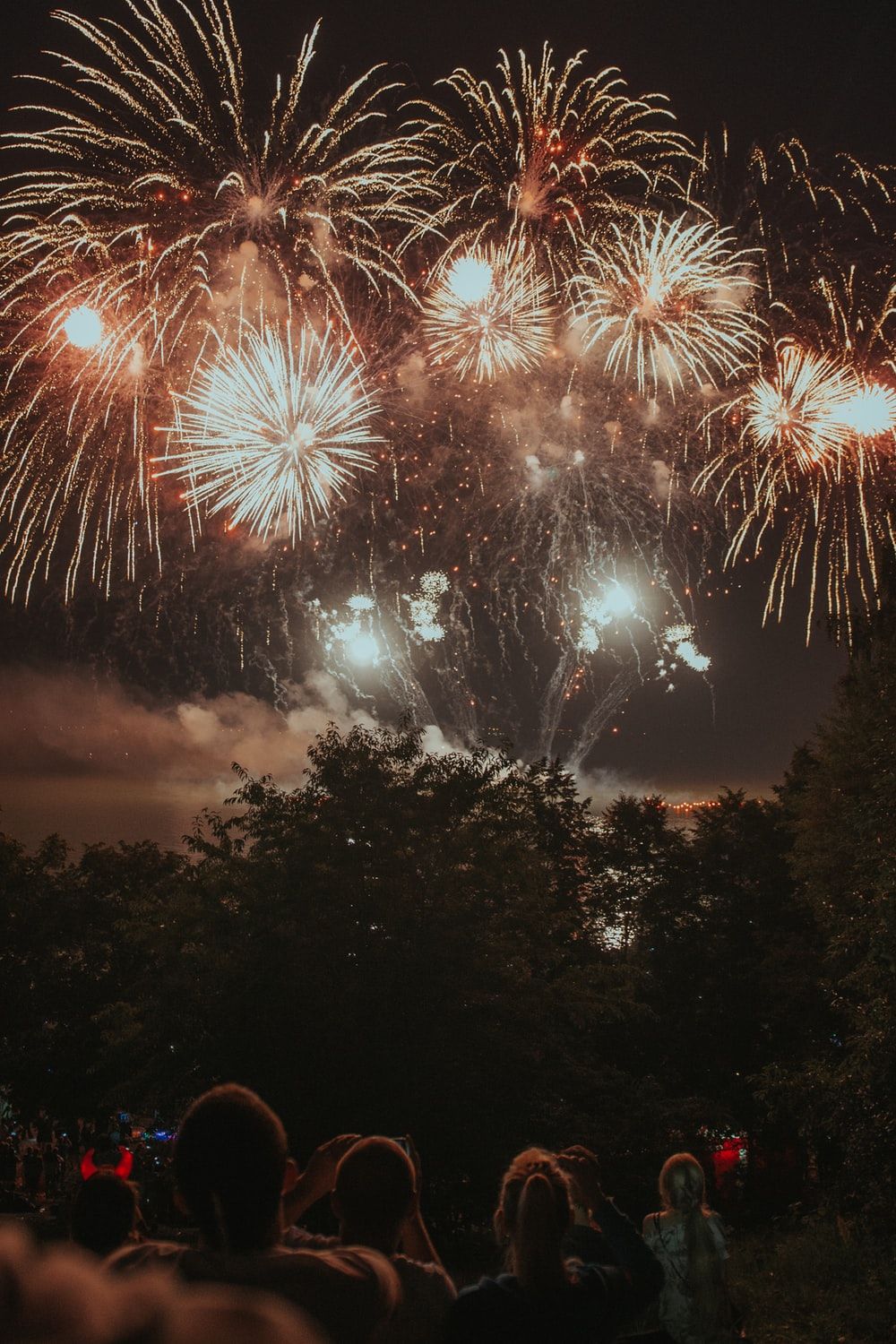 1000x1500 500+ Fireworks Pictures | Download Free Images on Unsplash