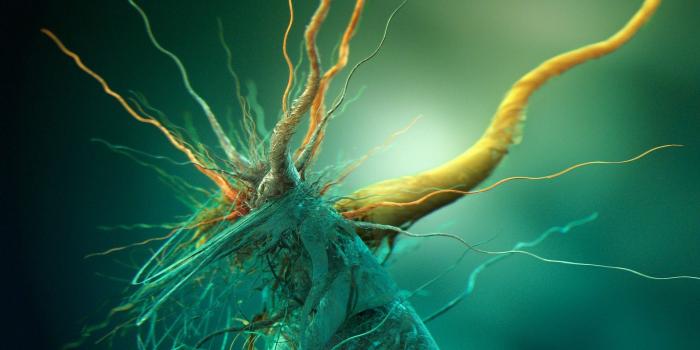 1920x1080 What's the best desktop background you've ever had/seen? : AskReddit