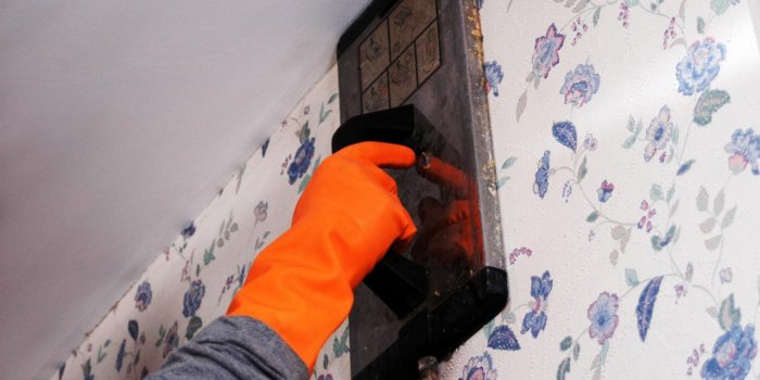 1280x960 How to Remove Wallpaper Using Solvents or Steam | how-tos | DIY