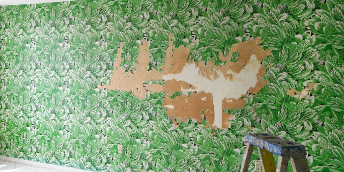 2560x1706 Best Way to Remove Wallpaper | Wallpaper Removal Tips