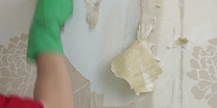 1280x720 How to remove wallpaper | Bunnings Warehouse