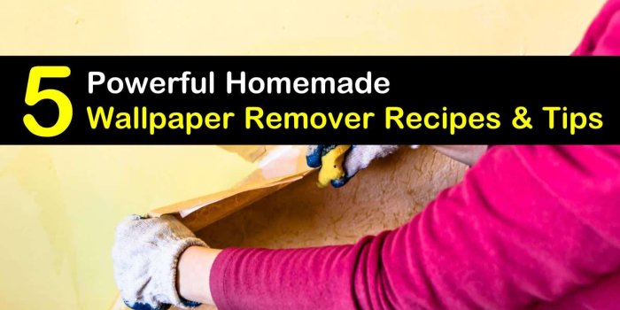 1600x900 Homemade Wallpaper Remover Recipes: 5 Tips For Easily Removing Wallpaper