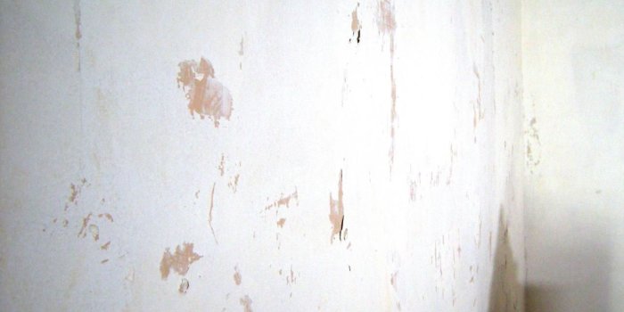 1280x960 How to Remove Wallpaper Using Solvents or Steam | how-tos | DIY