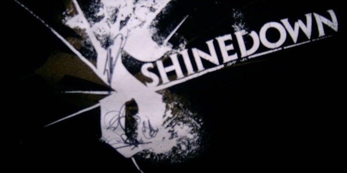 1024x768 Shinedown Wallpapers