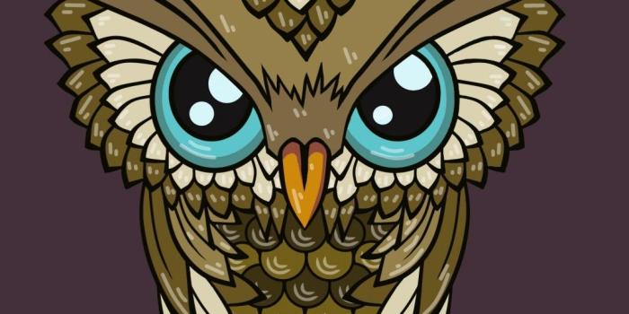 1080x1920 71+ Cute Owl Wallpapers on WallpaperPlay