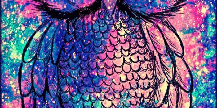 1080x1920 71+ Cute Owl Wallpapers on WallpaperPlay