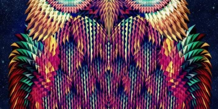 720x1280 Owl Phone Wallpaper | Wallpapers For iPhone and Android in 2019