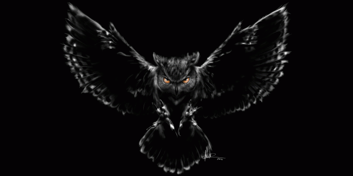 2560x1440 Wallpaper Nightmare, Owl, Black, Scary, HD, Creative Graphics, #15102