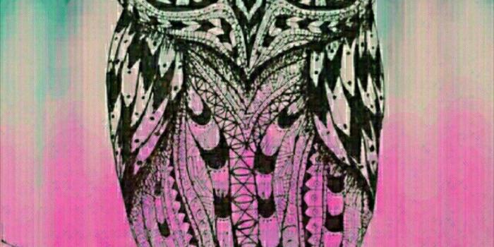 1080x1920 71+ Cute Owl Wallpapers on WallpaperPlay