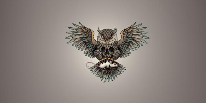 1920x1200 Owl holding the mouse wallpaper - Digital Art wallpapers - #53713