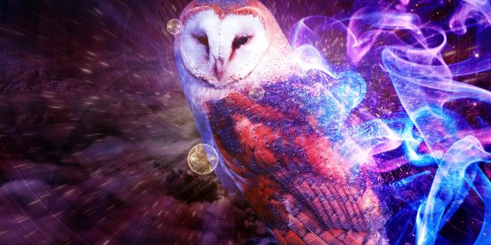 1920x1200 Fantasy Owl - Owls Wallpaper (40623461) - Fanpop