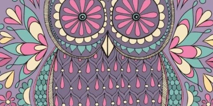 713x1334 Colorful Cartoon Owl Wallpapers Free Is 4k Wallpaper - Cute