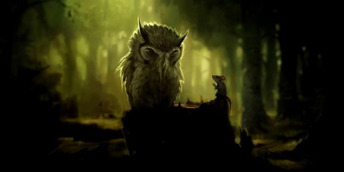 1562x987 Wise Old Owl Wallpaper | Wallpapers Sigi