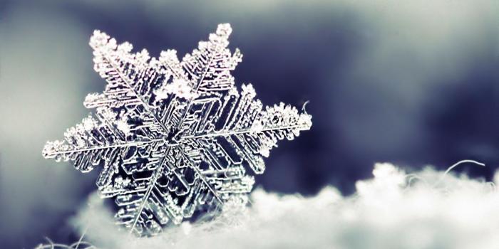 1680x1050 Snowflake Desktop Wallpapers