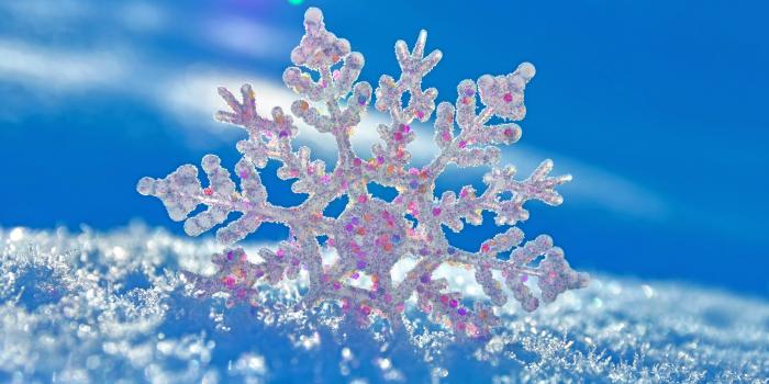 7947x4967 271 Snowflake HD Wallpapers | Background Images