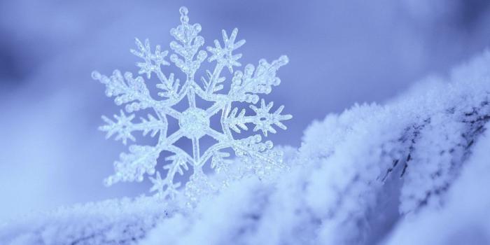 3840x2160 Snowflake Wallpaper HD
