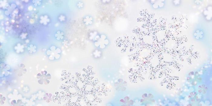 1024x768 Snowflake Wallpapers