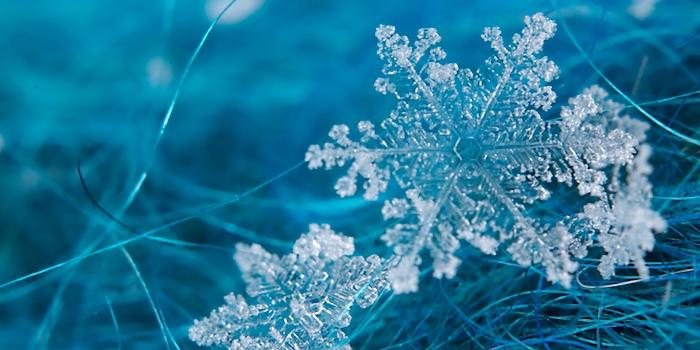 1920x1200 Snowflake Wallpaper Backgrounds #7041083