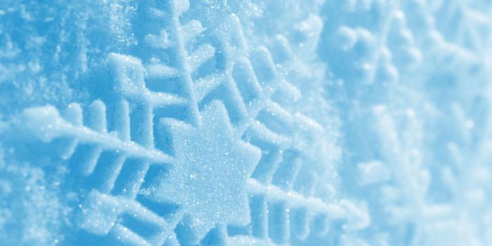 1600x1200 Real Snowflake HD Wallpaper, Background Images