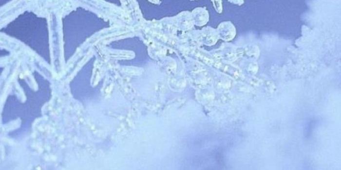 852x1608 Snowflake iPhone Wallpapers - Top Free Snowflake iPhone Backgrounds