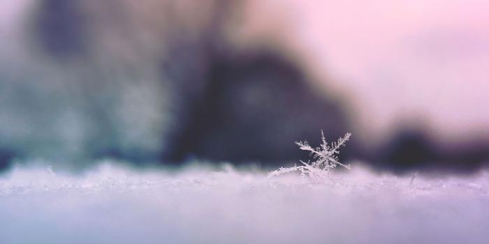 1366x768 23+ Snowflakes Wallpapers, Snow Backgrounds, Pictures, Images