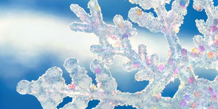 1080x1920 Snowflake htc one wallpaper - Best htc one wallpapers