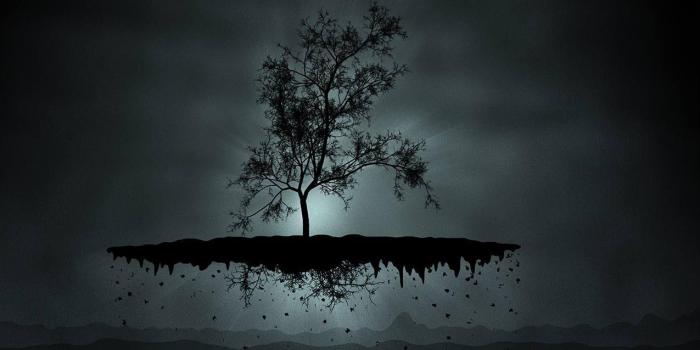 1275x714 Floating tree with roots | Tats | Tree abstract wallpaper, Cool