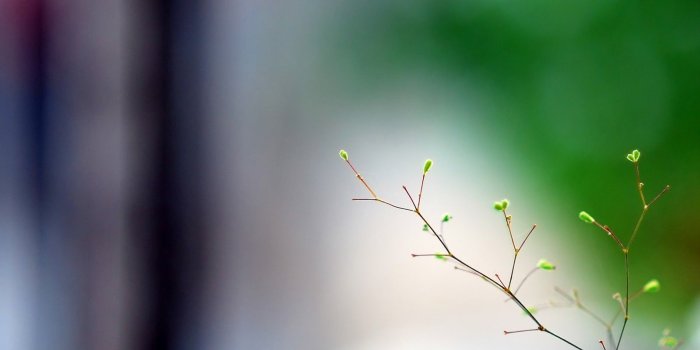 1600x900 All Images Wallpapers: VITALITY HD WALLPAPER