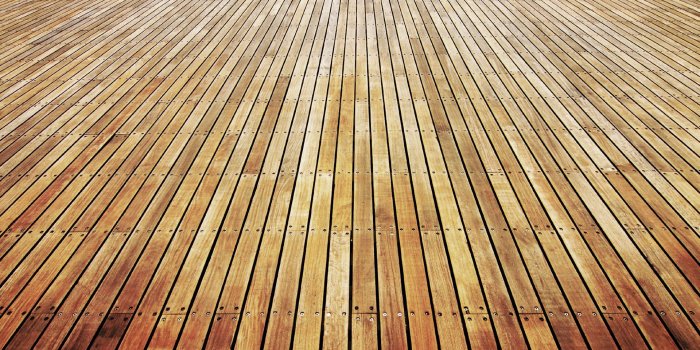 1920x1200 Wood vitality Wallpapers HD, HD Desktop Wallpapers 1920x1200