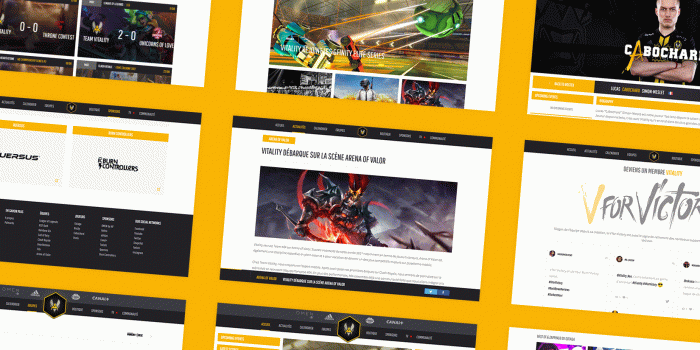 1782x825 Vitality – Michael Zaccardi