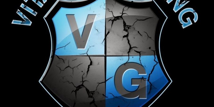 900x900 Vitality Gaming