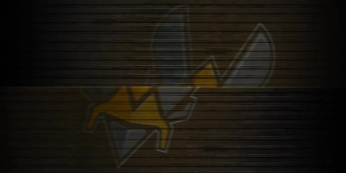 1920x1080 Team Vitality Logo