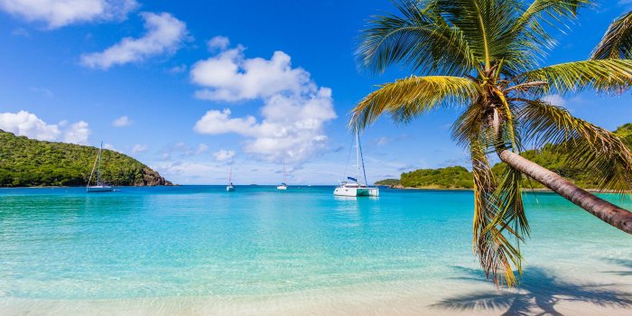 1920x1200 The Catamaran Company - www.catamarans.com - Quality Catamaran Charters