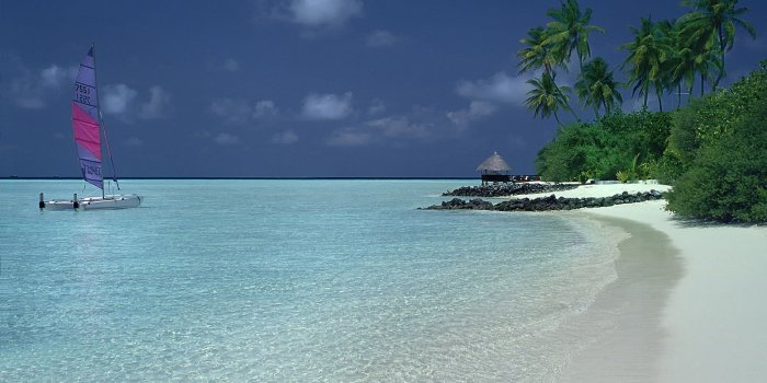 1920x1200 White and purple boat, nature, landscape, catamaran, beach HD