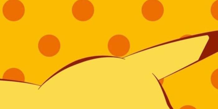 1080x1920 85+ Pikachu Iphone Wallpapers on WallpaperPlay