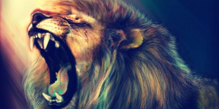 1282x956 Lion HD Wallpapers