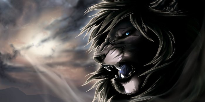 1366x768 44+] Black Lion HD Wallpaper on WallpaperSafari