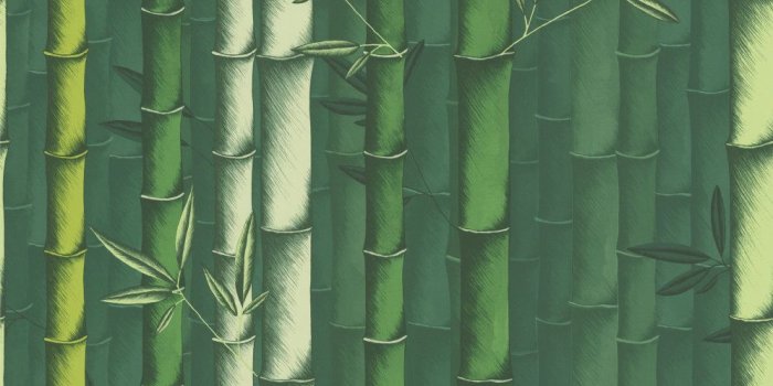 996x1000 Bamboo by Osborne & Little - Emerald - Wallpaper - W7025/01