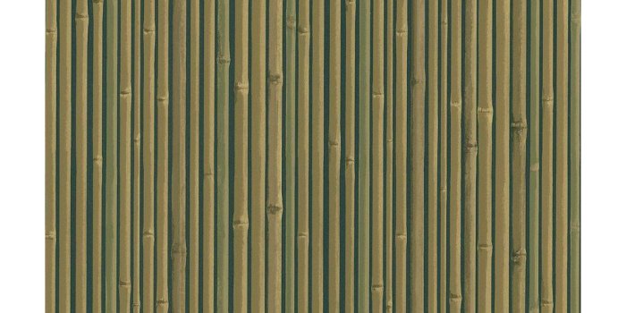 1000x1000 Bamboo Wallpaper