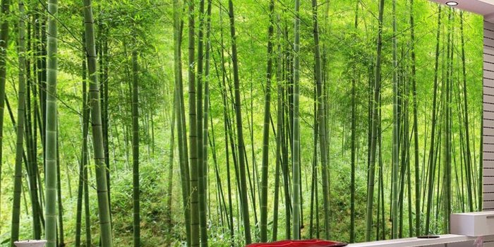 928x928 US $8.91 52% OFF|Custom Photo Wallpaper Bamboo Forest Art Wall Painting  Living Room TV Background Mural Home Decor Wallpaper Papel De Parede 3D-in 