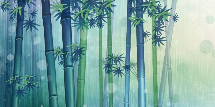 1600x1200 green bamboo wallpaper | Images of Bamboo | Bamboo wallpaper