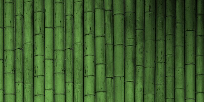 1920x1200 Bamboo Wallpaper - Green Wallpaper (19784745) - Fanpop