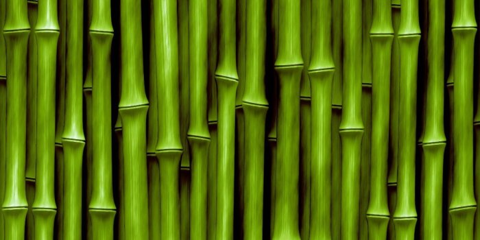 1600x1200 Chinese Bamboo Wallpapers - Top Free Chinese Bamboo Backgrounds