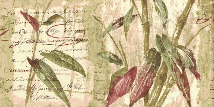 1500x1119 Wallpaper Border - Bamboo Wallpaper Border 80B64171 - - Amazon.com