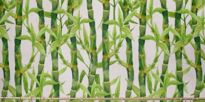 794x1038 Bamboo Wallpaper, Removable Wallpaper, Self-adhesive Wallpaper, Tropical  Wall Décor, Jungle Wallcovering - JW060