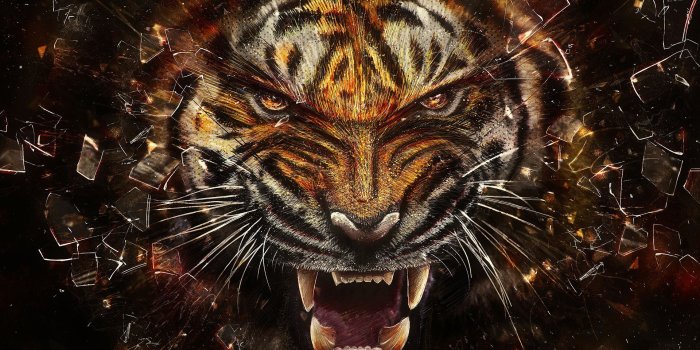 1920x1440 Angry Tiger - Tigers Wallpaper (31737545) - Fanpop