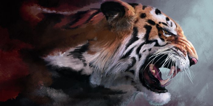 2560x1600 Angry Tiger Wallpapers