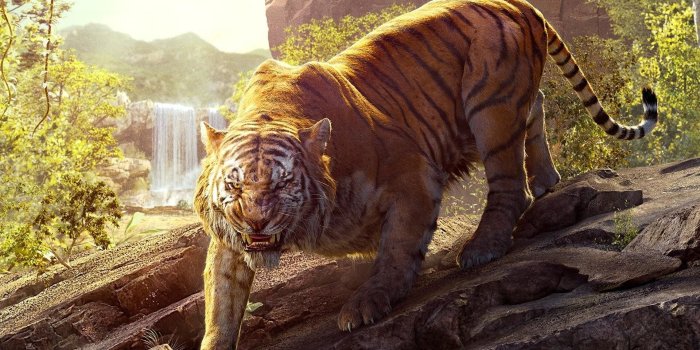 1920x1280 76+ Tiger Hd Wallpapers on WallpaperPlay