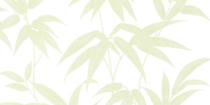 1500x1500 Sandudd SD5213-3 Sasa Green Bamboo Leaf Wallpaper - - Amazon.com
