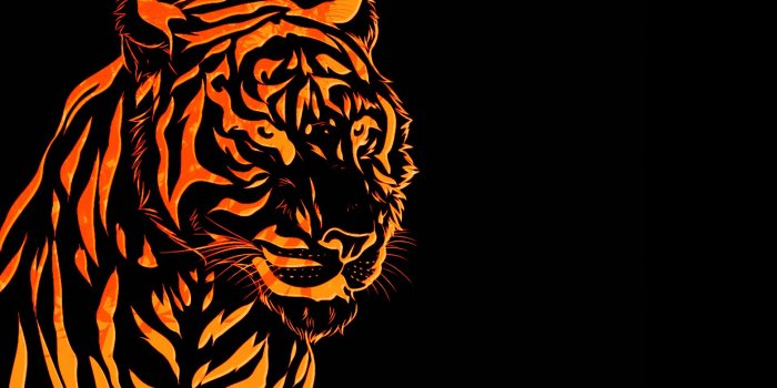 1920x1200 Tiger Wallpaper 14 - 1920 X 1200